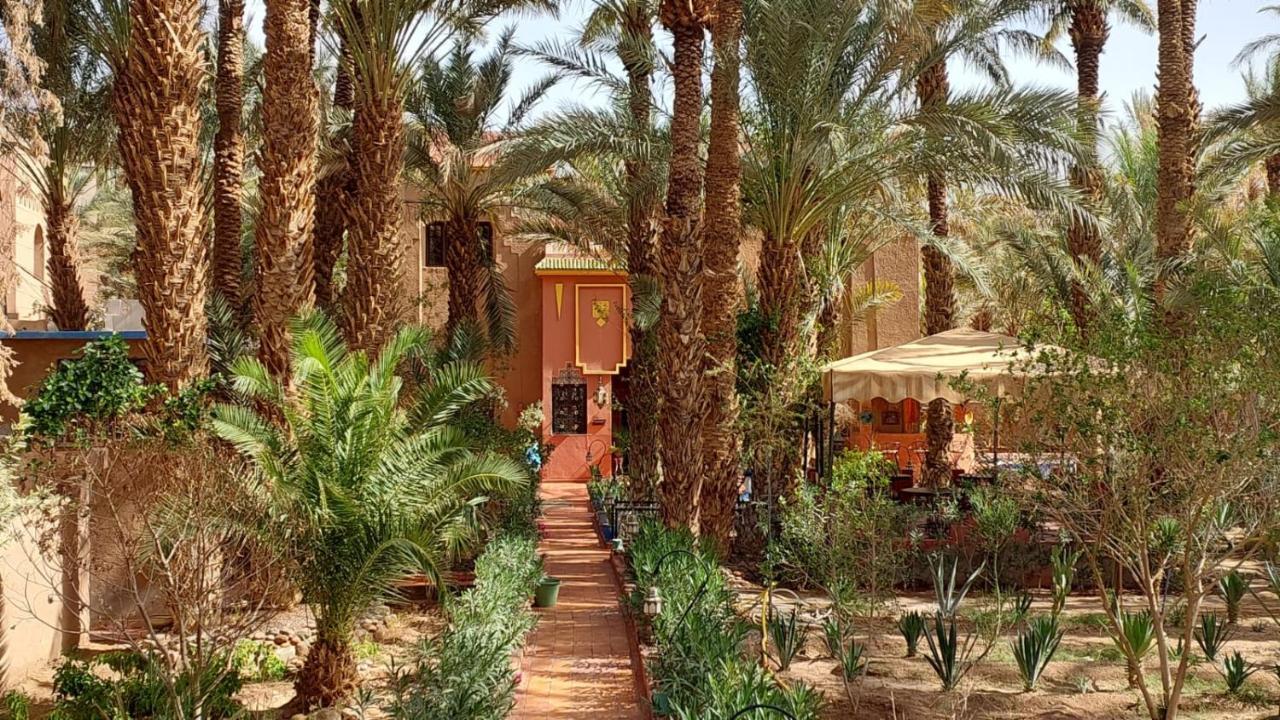 Riad Le Petit Jardin Zagora Exteriör bild